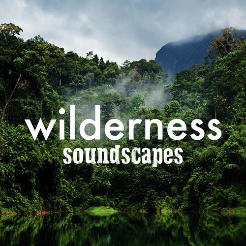 Wilderness Soundscapes