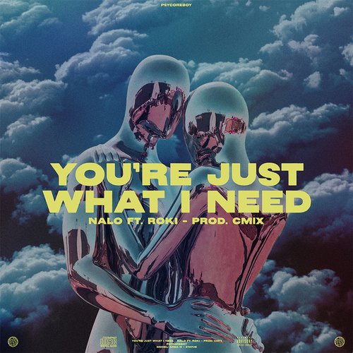 You're Just What I Need (feat. Roki, CM1X)