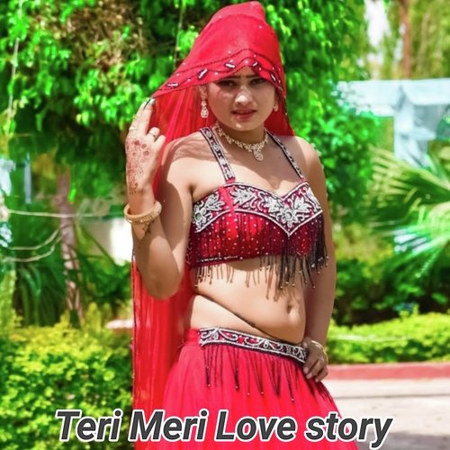 teri meri love story