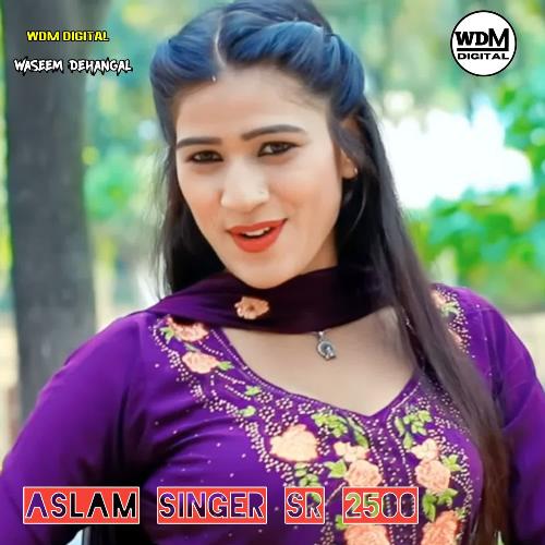 ASLAM SINGER SR 2500