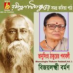 Satimir Rajani artwork