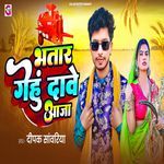 Bhatar Gehu Dawe Aaja