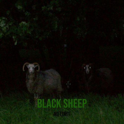 Black Sheep