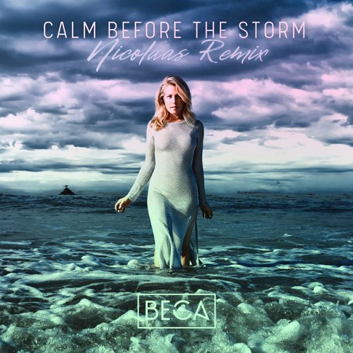 Calm Before the Storm (NICOLAAS Remix)_poster_image