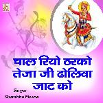Chaal Riyo Tharko Teja Ji Dholiya Jaat Ro