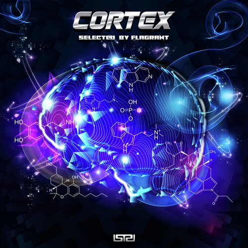 Cortex Selected By Flagrant