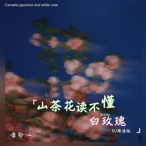 山茶花读不懂白玫瑰 (DJ降速版)