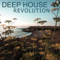 Deep House Revolution