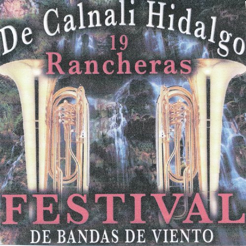 Camion De Pasajeros cover art
