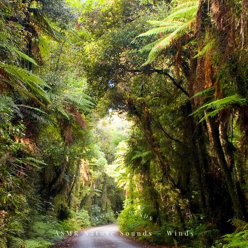 Natural Forest Sounds cover art