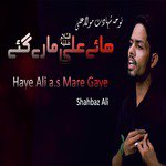 Haye Ali a.s Mare Gaye