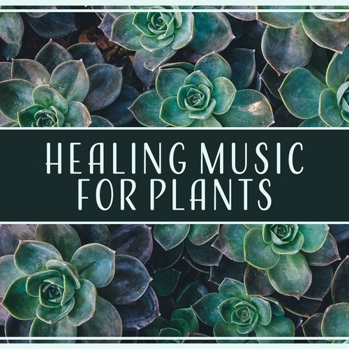 Healing Music for Plants – Soothing Sounds for Deep Stimulation, Health & Strength, Ambient Serenity, Blooming Flowers