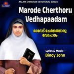 Marode Cherthoru Vedhapaadam