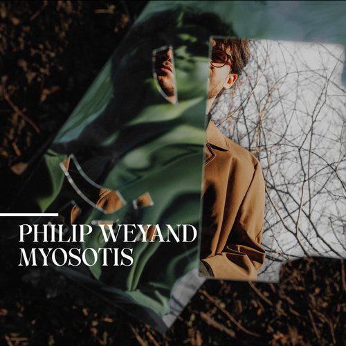 Myosotis cover art