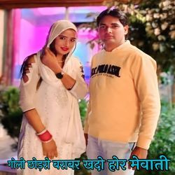 गोली छोड़रो बराबर खदो होर मेवाती