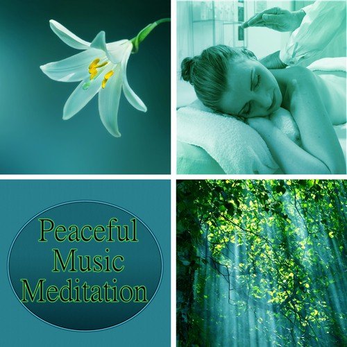 Peaceful Music Meditation - Music for Deep Zen Meditation & Well Being, Body Scan Meditation, Soul Healing with Mindfulness Meditation, Yoga Poses, Buddhist Meditation, Hatha Yoga