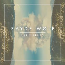 ZAYDE WØLF profile photo