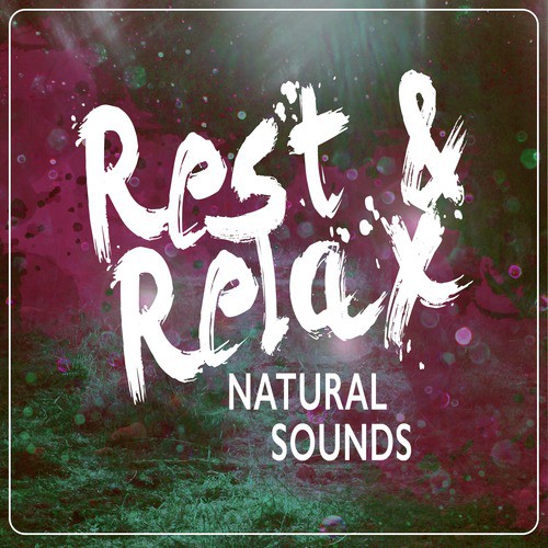 Rest &amp; Relax Natural Sounds