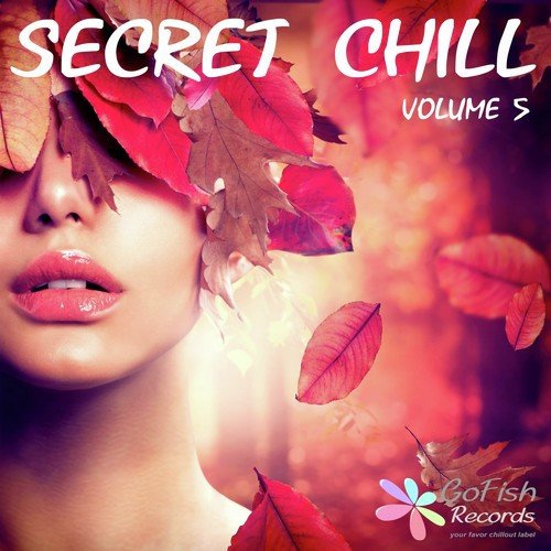 Secret Chill, Vol. 5