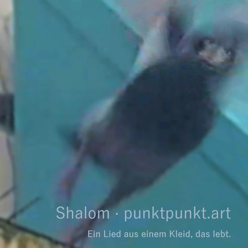Shalom · Punktpunkt.art Ein Lied Aus Einem Kleid, Das Lebt. cover art
