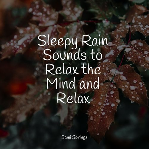 Sleepy Rain Sounds to Relax the Mind and Relax_poster_image