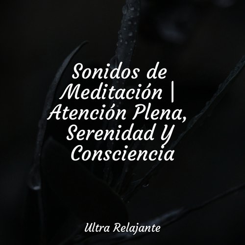 Sonidos de Meditación | Atención Plena, Serenidad Y Consciencia