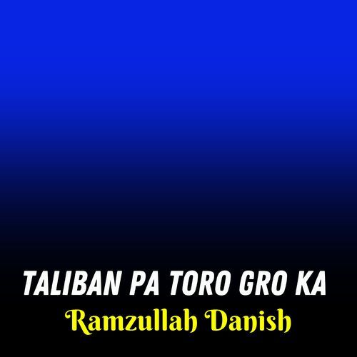 Taliban Pa Toro Gro Ka