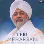 Teri Meharbani
