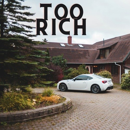 Too Rich cover art