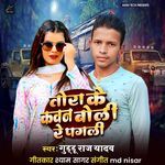 Tora Ke Kawan Boli Re Pagli