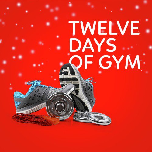 Twelve Days of Gym_poster_image