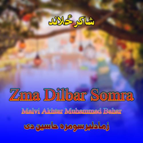 Zma Dilbar