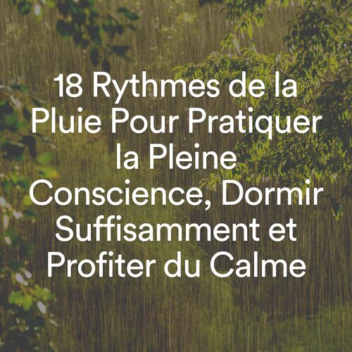 18 Rythmes de la Pluie Pour Pratiquer la Pleine Conscience, Dormir Suffisamment et Profiter du Calme_poster_image