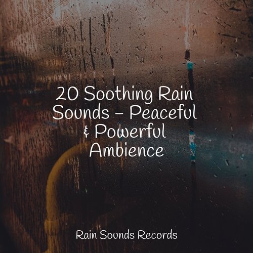 20 Soothing Rain Sounds - Peaceful & Powerful Ambience