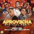 Aprovecha (Remix)