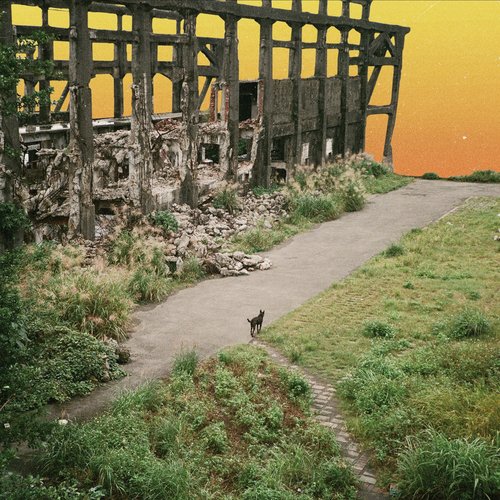 Black Flag cover art