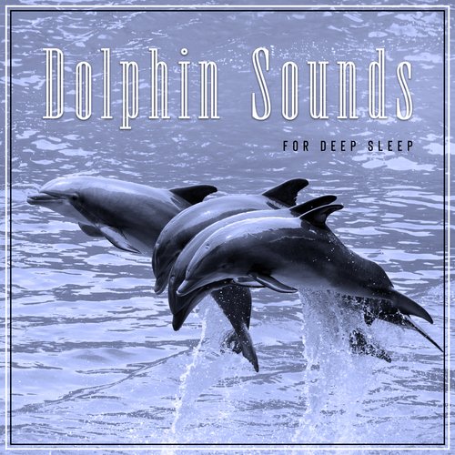 Dolphins & Whales Singing