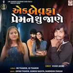 Ek Bewafa Prem Ne Shu Jane