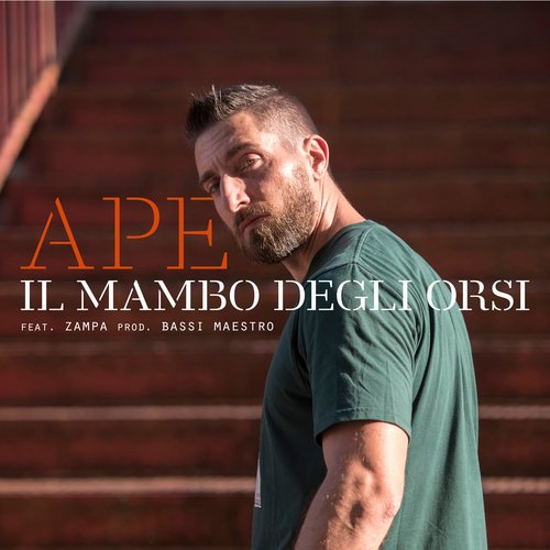 Il mambo degli orsi_poster_image