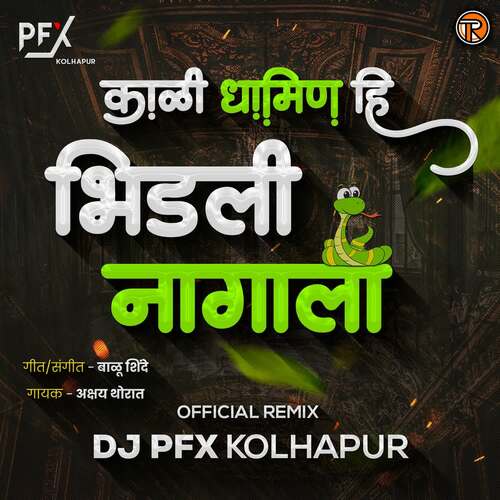 Kali Dhamin Hi Bhidali Nagala ( Dj Pfx Kolhapur )