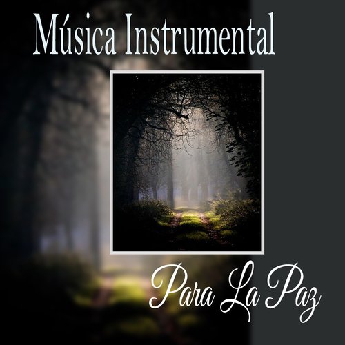 Relajación cover art