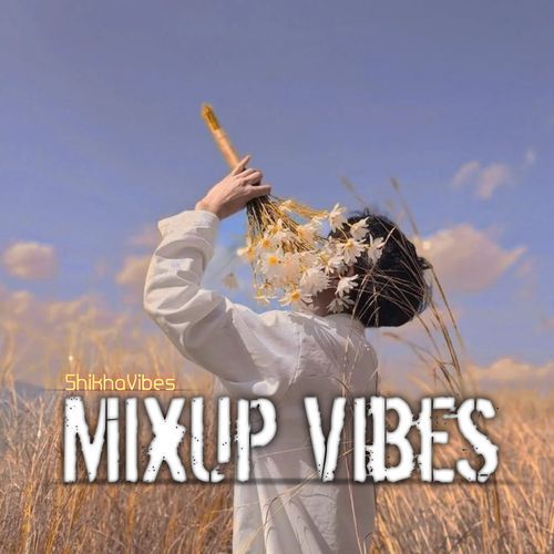 MixUp Vibes