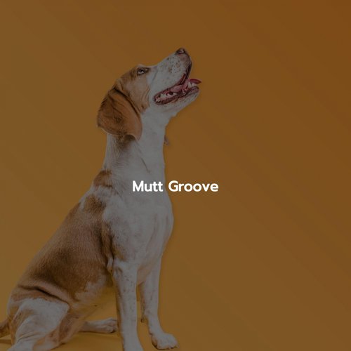 Mutt Groove