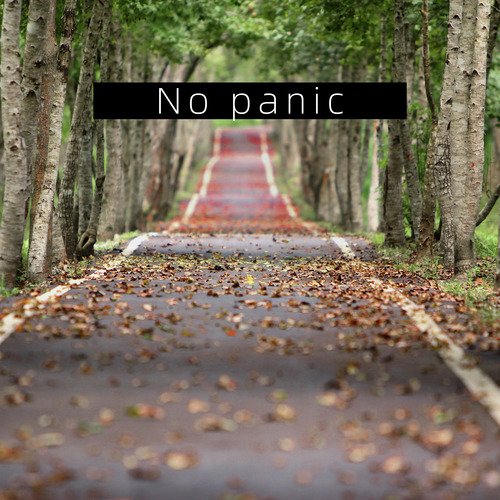 No panic