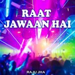 Raat Jawaan Hai