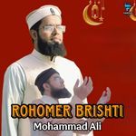 Rohomer Brishti