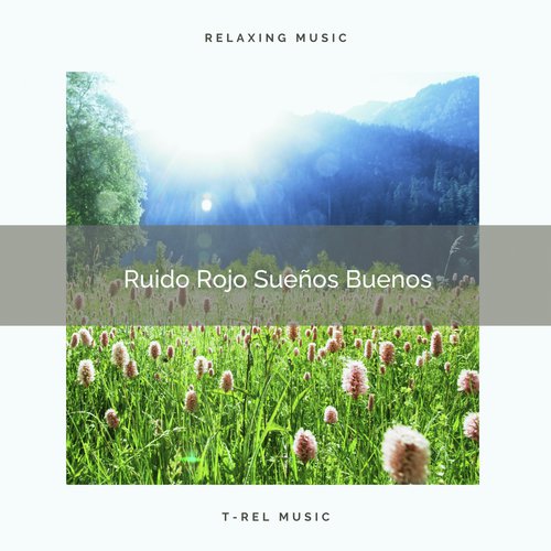 Ruido De Colores Sueños Buenos cover art