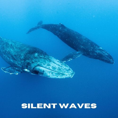 Silent Waves