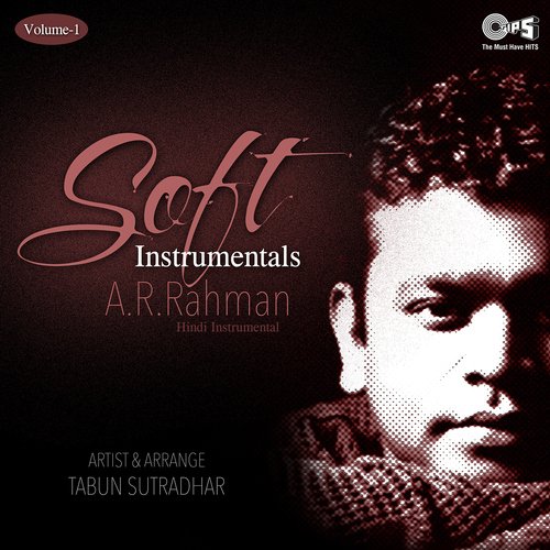 Soft Instrumentals: A. R. Rahman, Vol. 1_poster_image