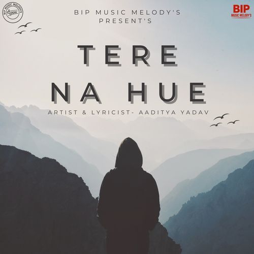 TERE NA HUE